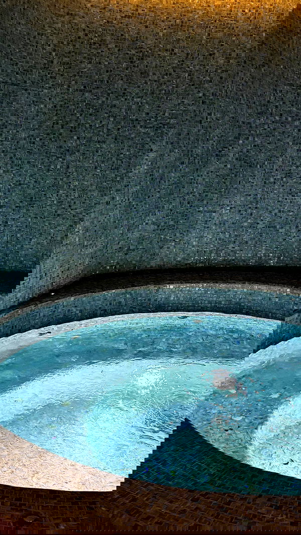 tair_alon tair_alon archive image