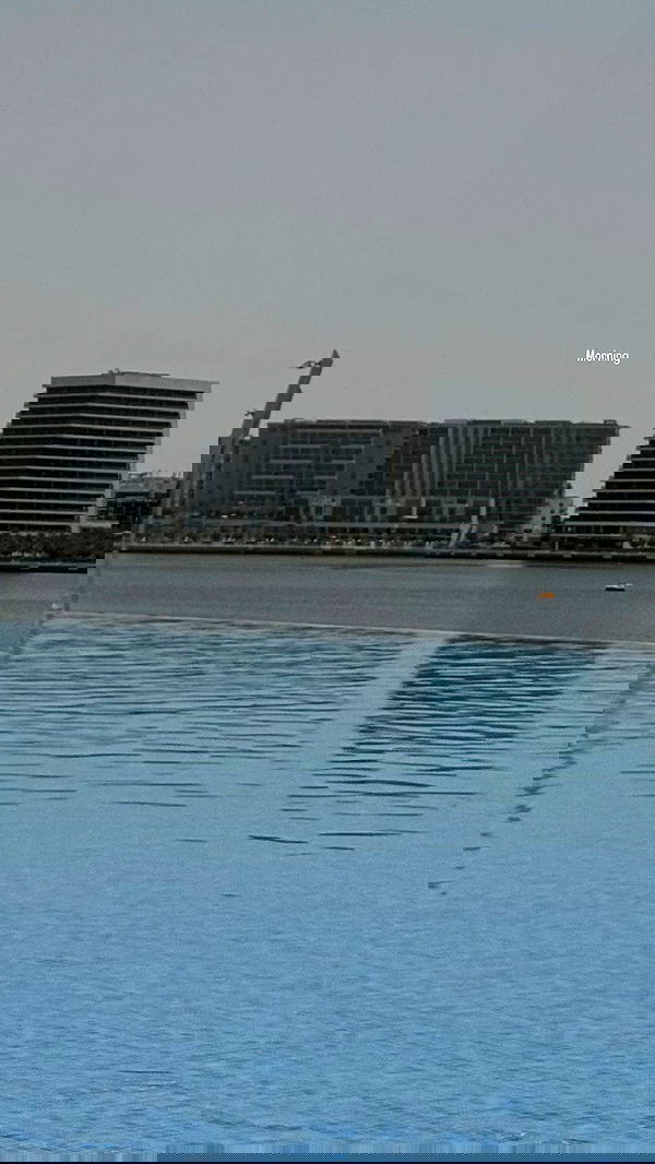 tair_alon tair_alon archive image