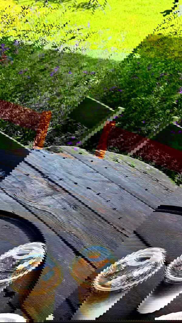 tair_alon tair_alon archive image