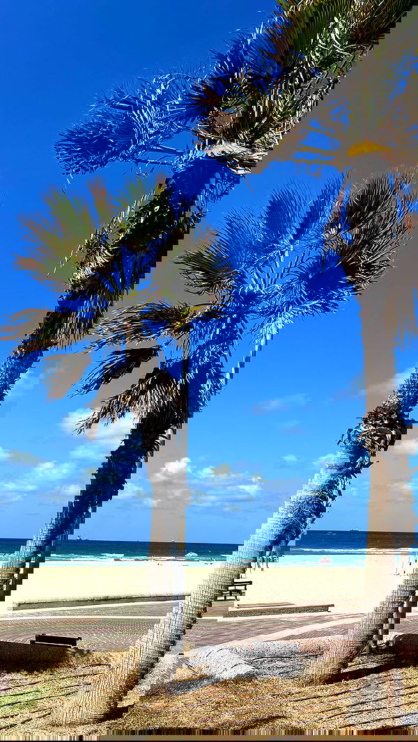 tairmar tairmar archive image