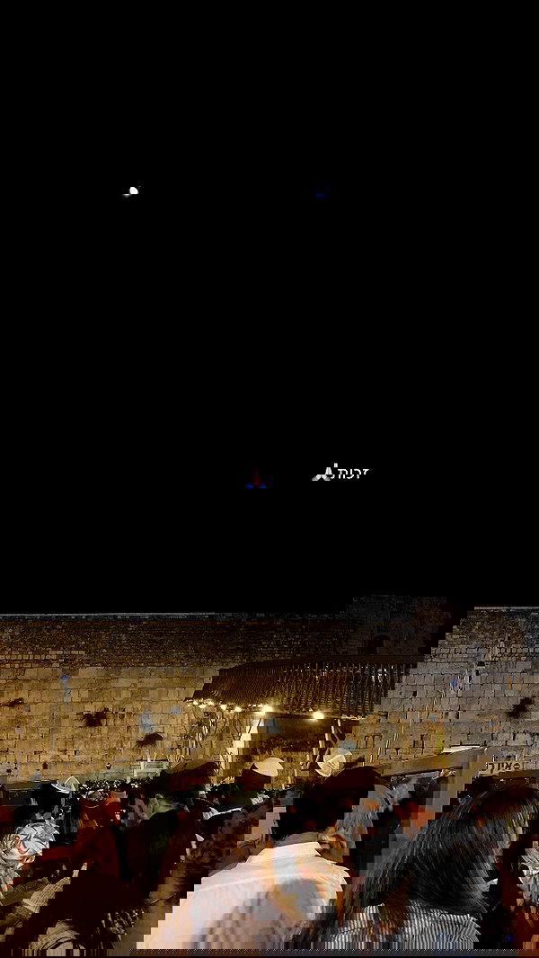 talia_davidov talia_davidov archive image