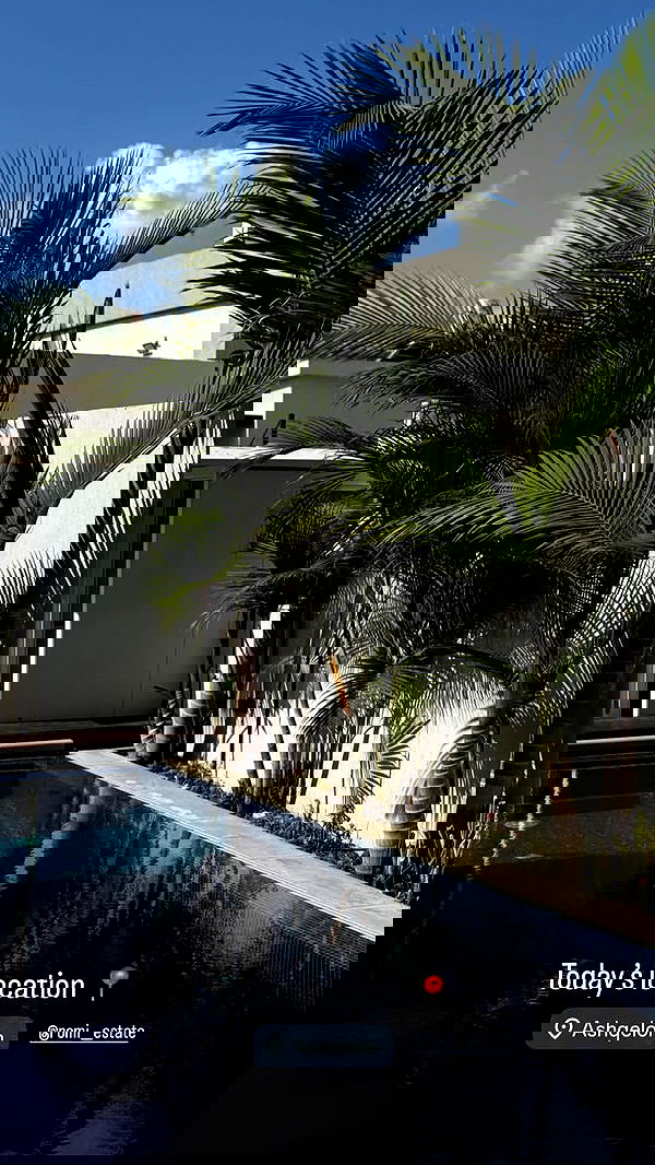 talia_davidov talia_davidov archive image