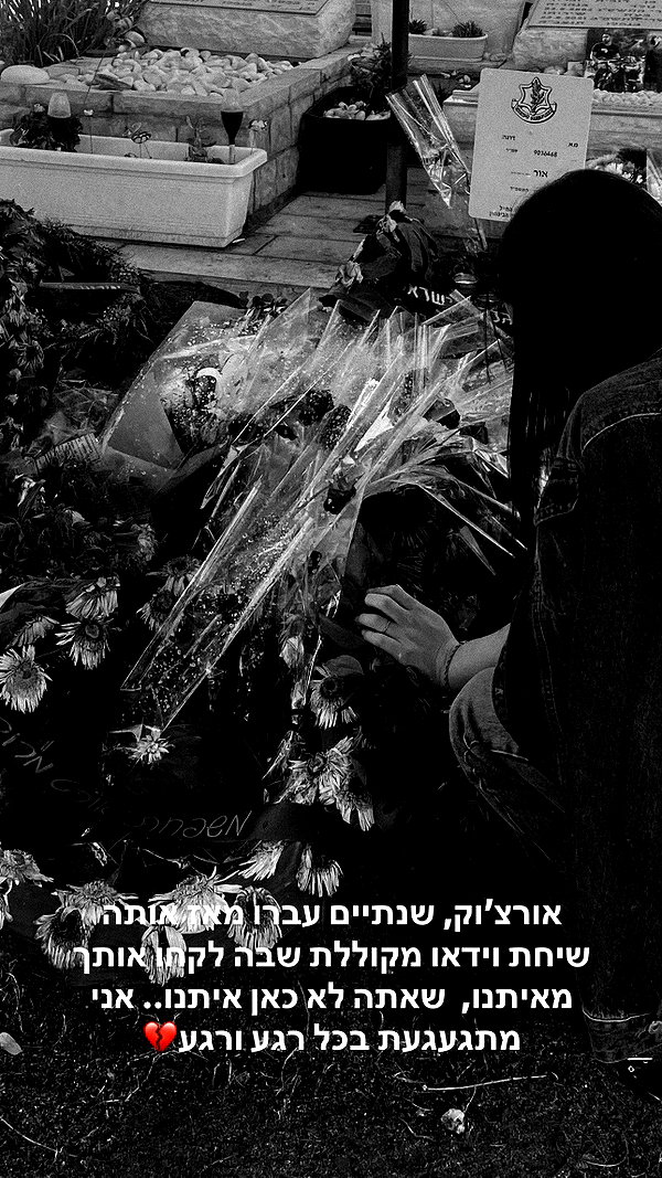taliaeno__ taliaeno__ archive image