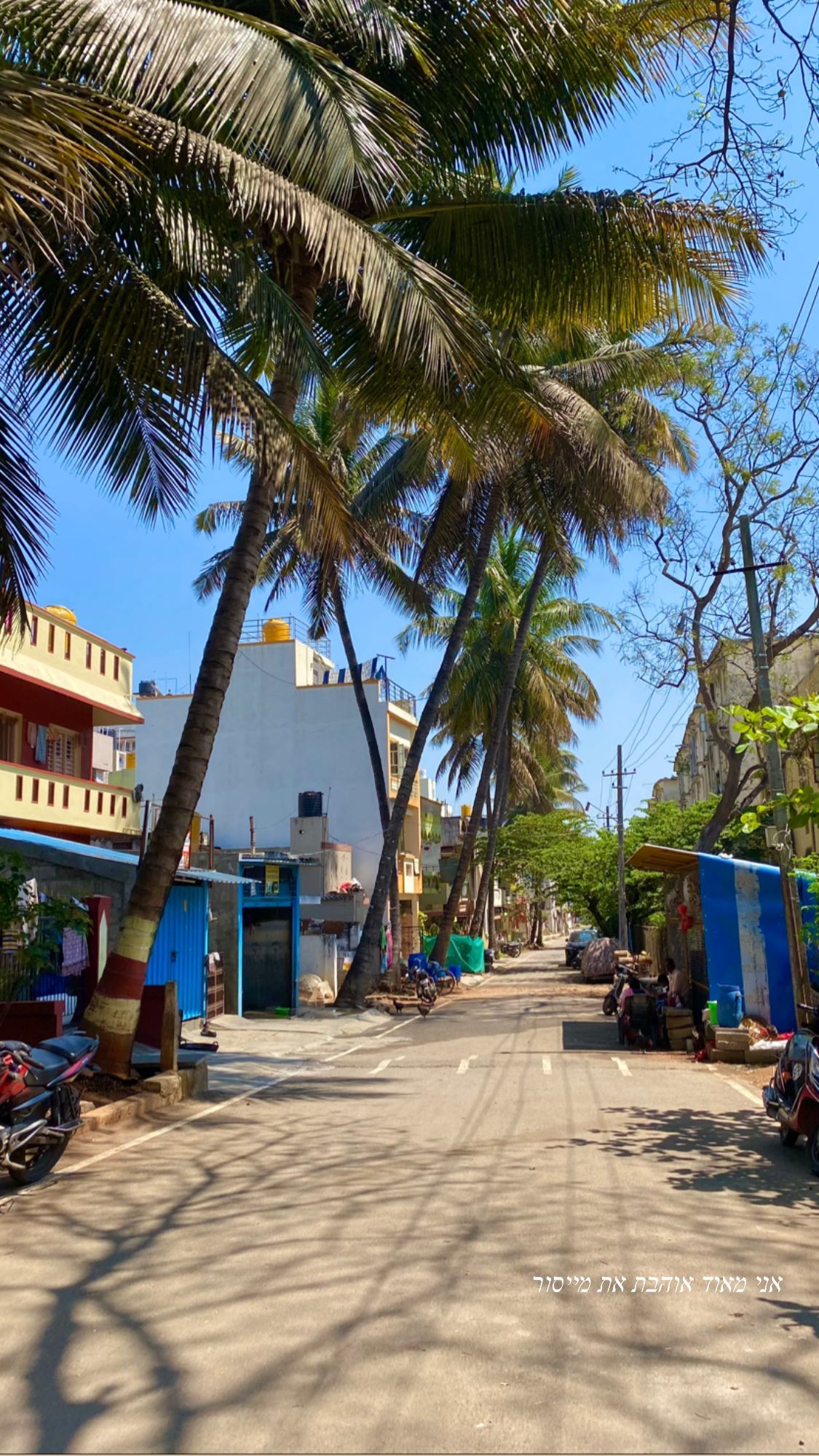 talweisswasser instagram image archive image