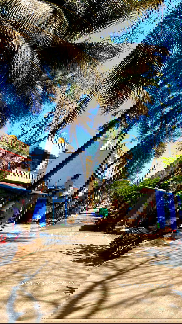 talweisswasser image ~ Altpins