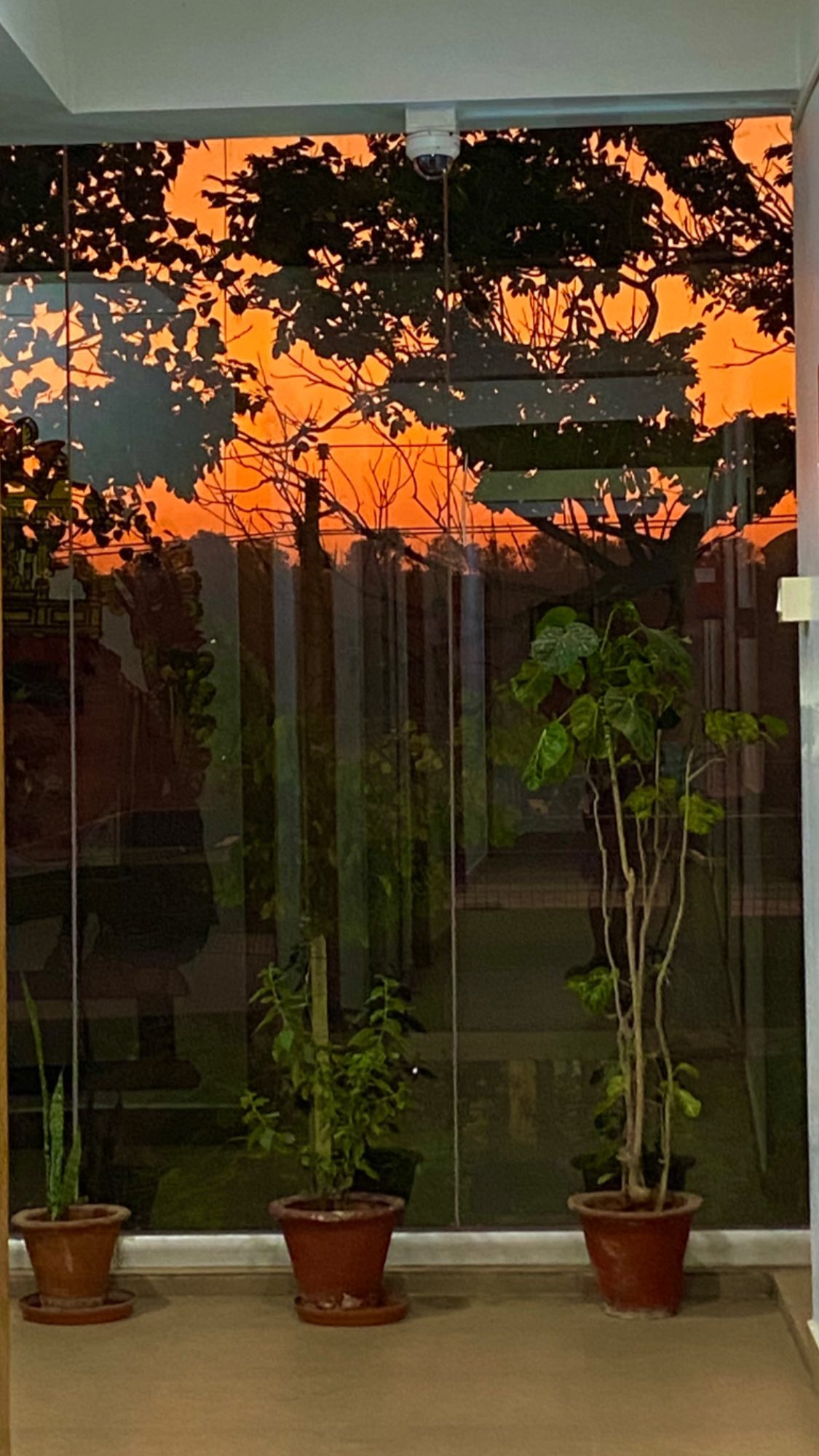 talweisswasser instagram image archive image