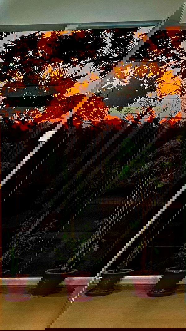 talweisswasser image ~ Altpins