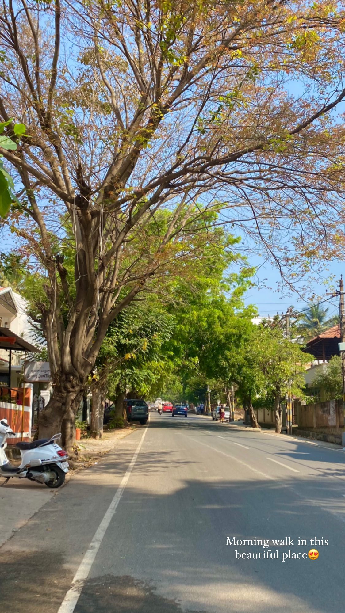 talweisswasser instagram image archive image