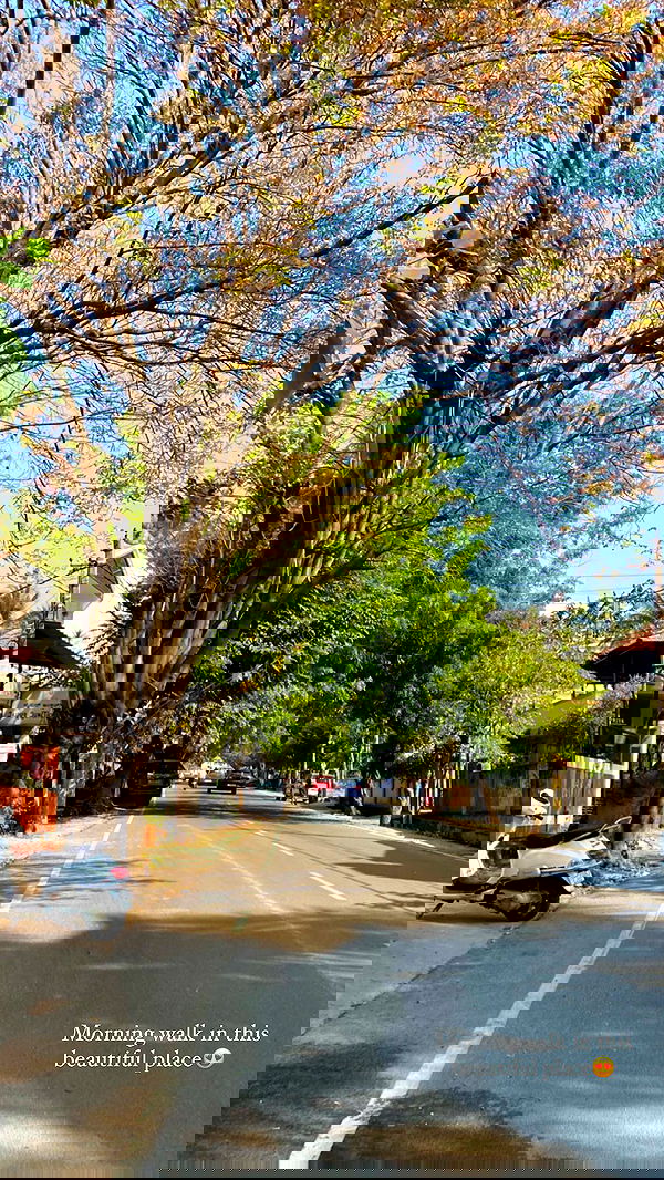 talweisswasser image ~ Altpins