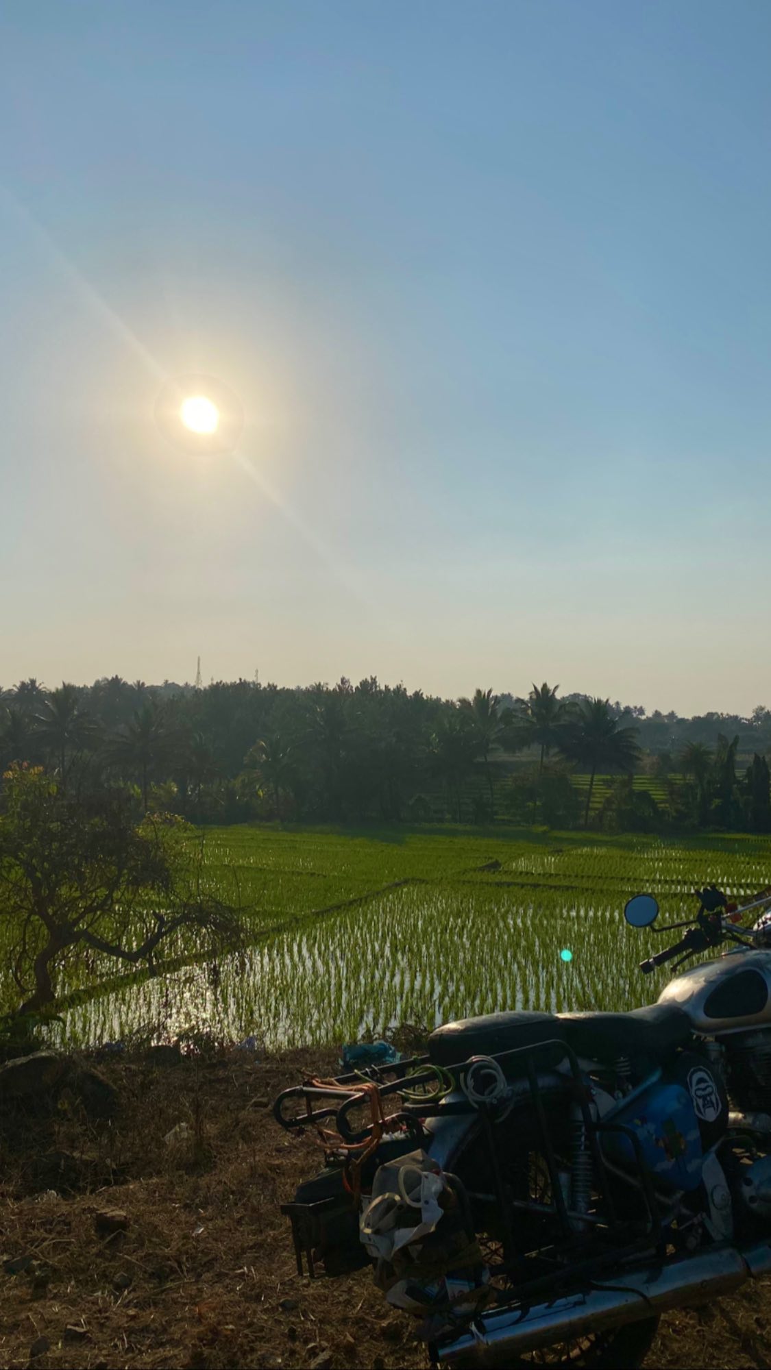 talweisswasser instagram image archive image