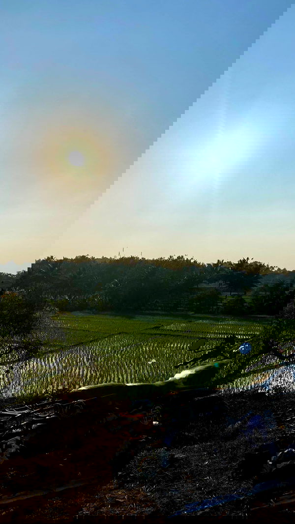 talweisswasser image ~ Altpins