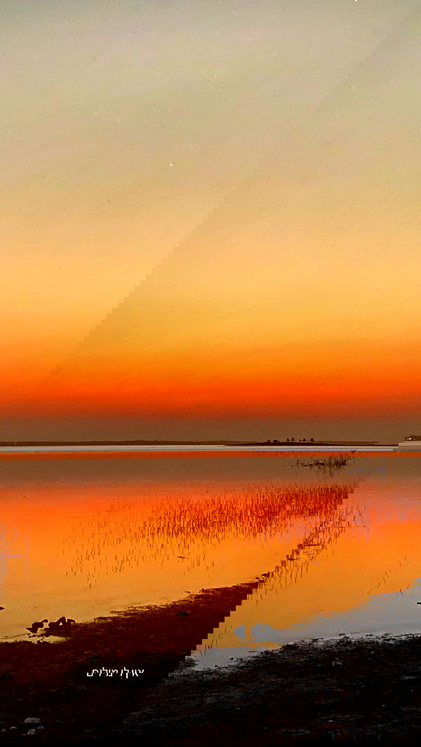 talweisswasser image ~ Altpins