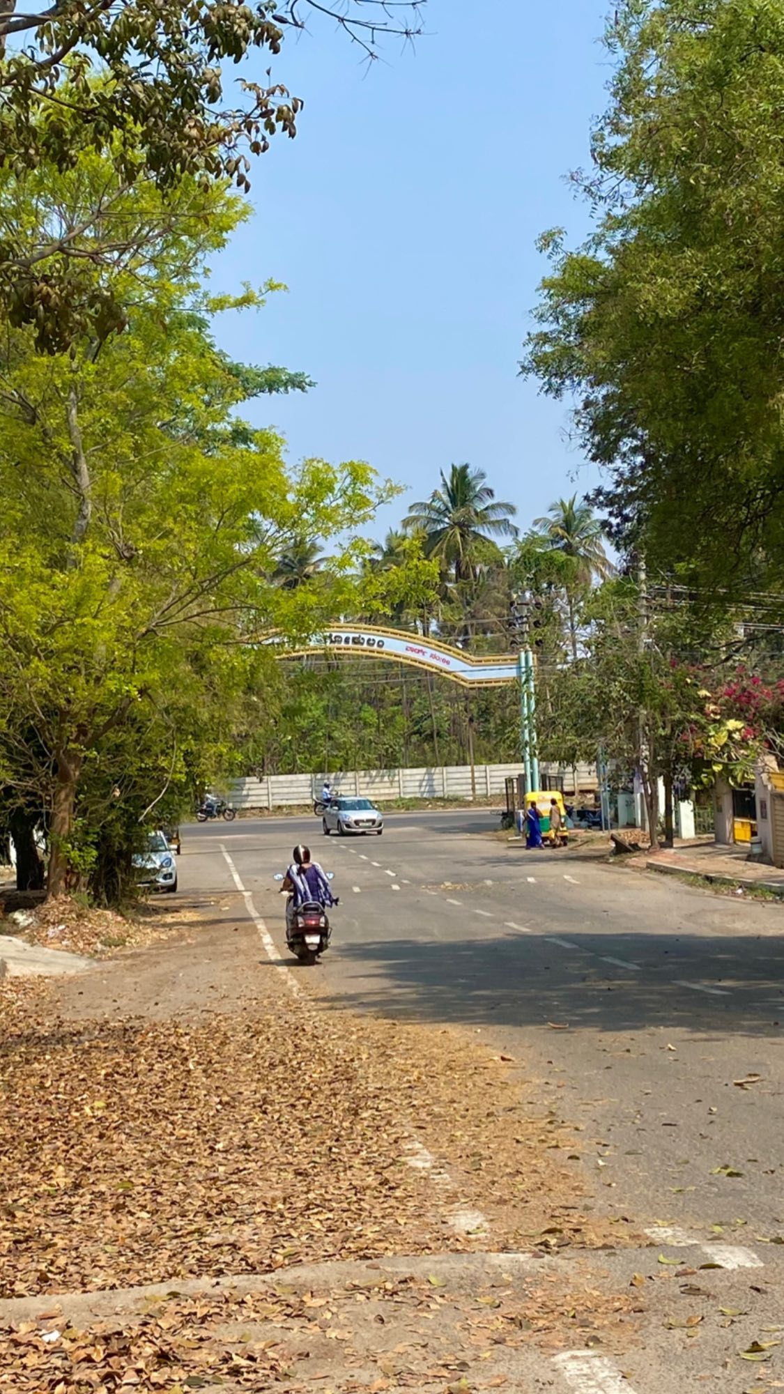 talweisswasser instagram image archive image