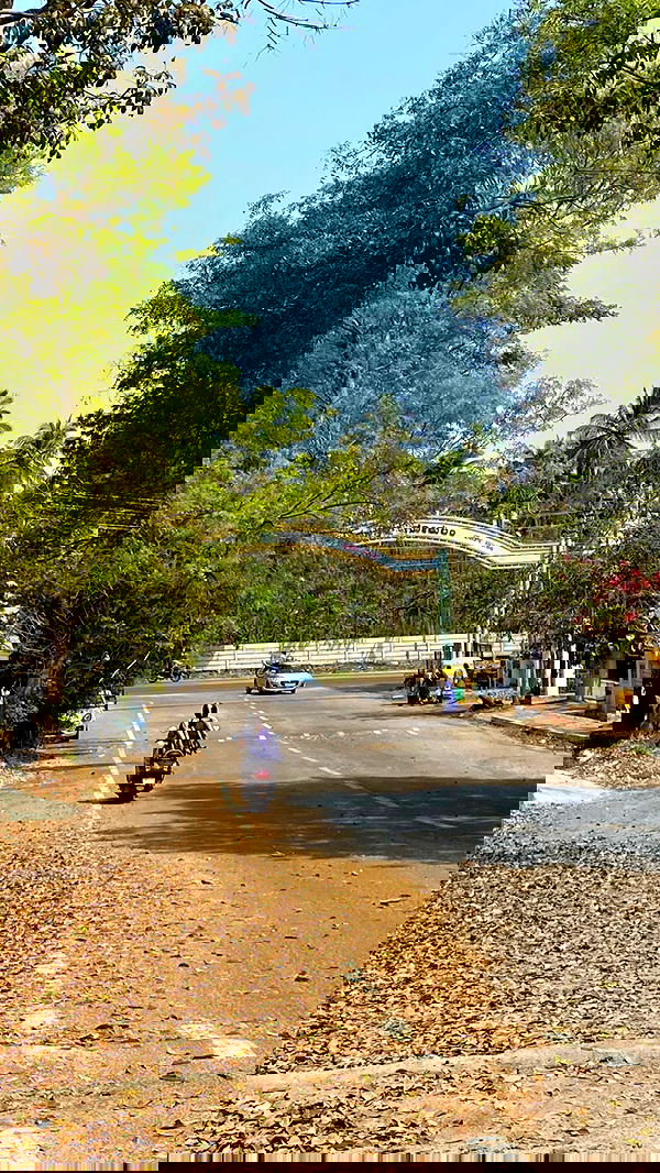 talweisswasser image ~ Altpins