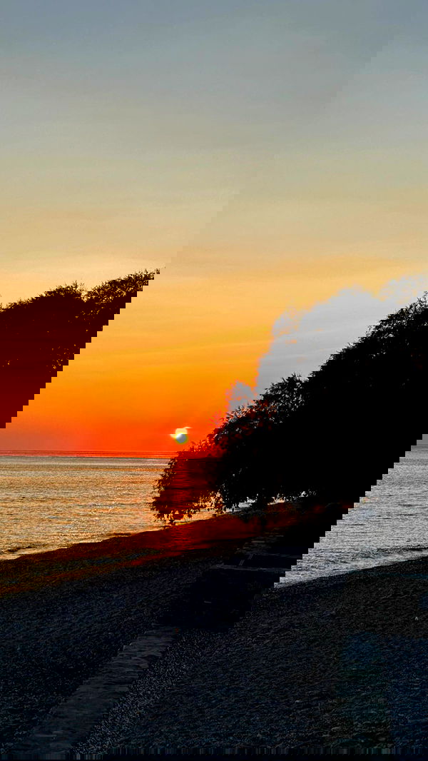 talweisswasser image ~ Altpins