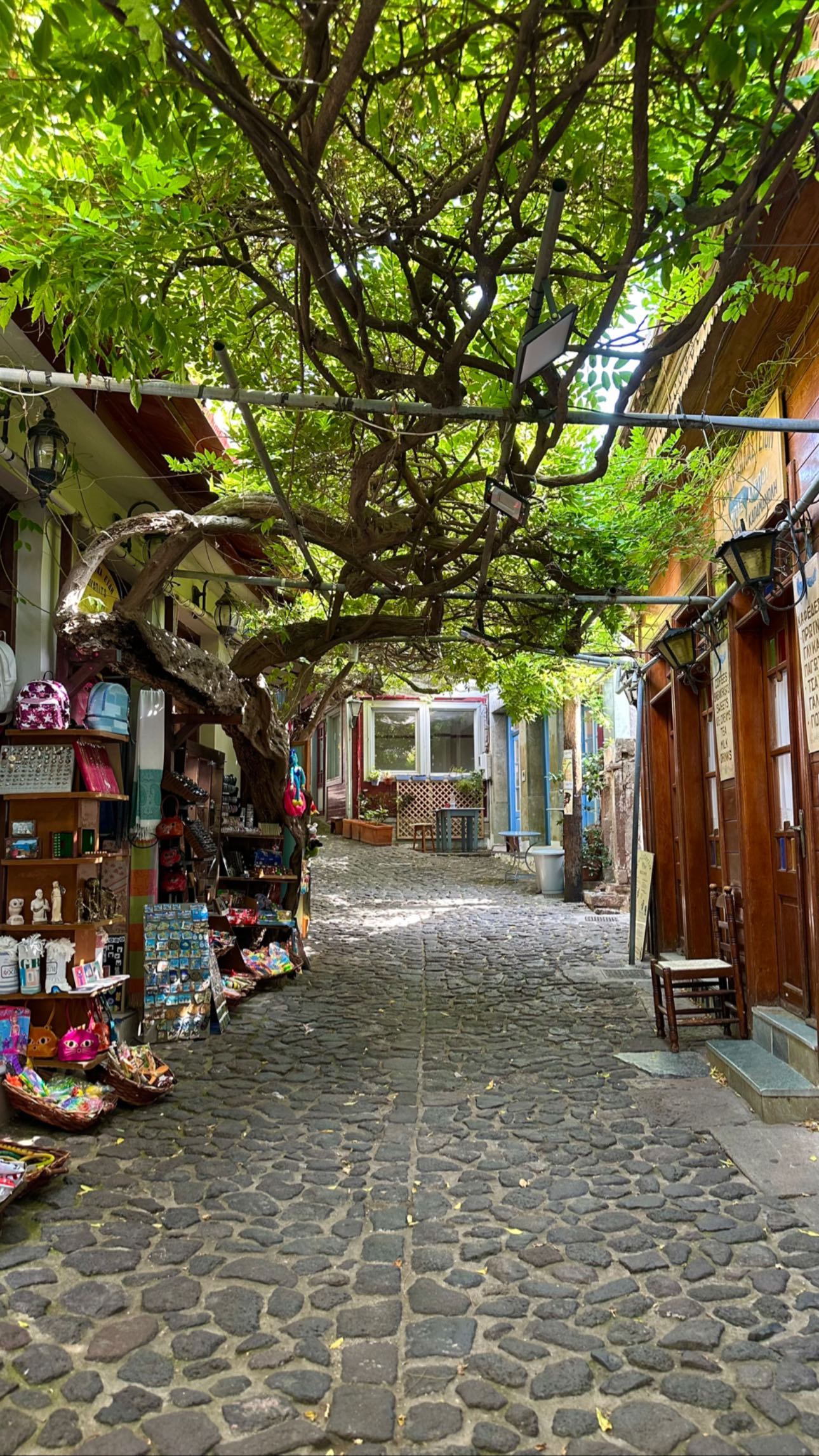 talweisswasser instagram image archive image