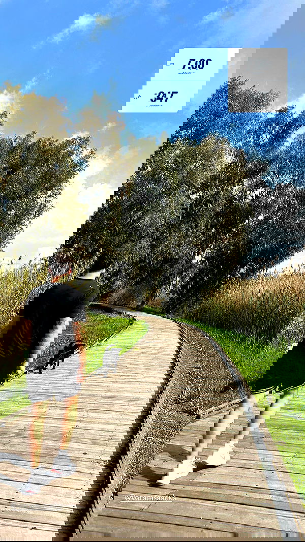 talweisswasser image ~ Altpins