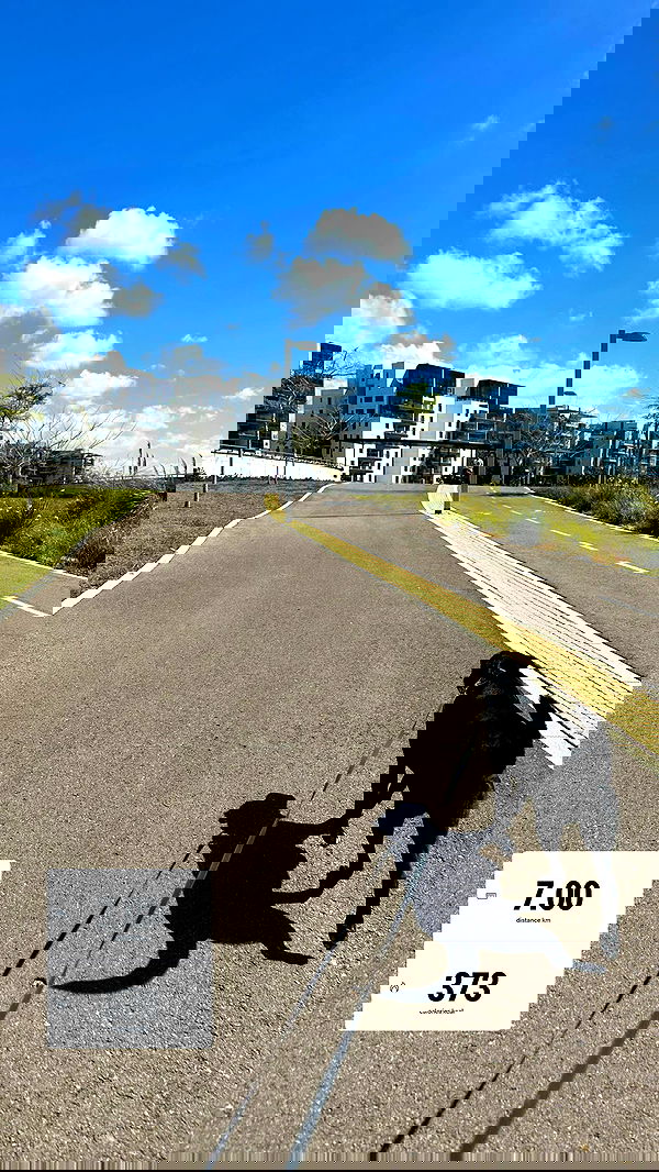 talweisswasser image ~ Altpins