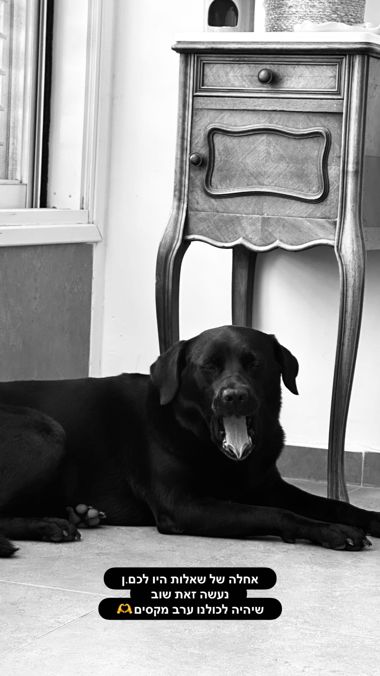 talweisswasser instagram image archive image