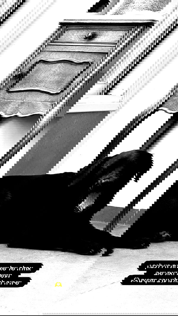 talweisswasser image ~ Altpins