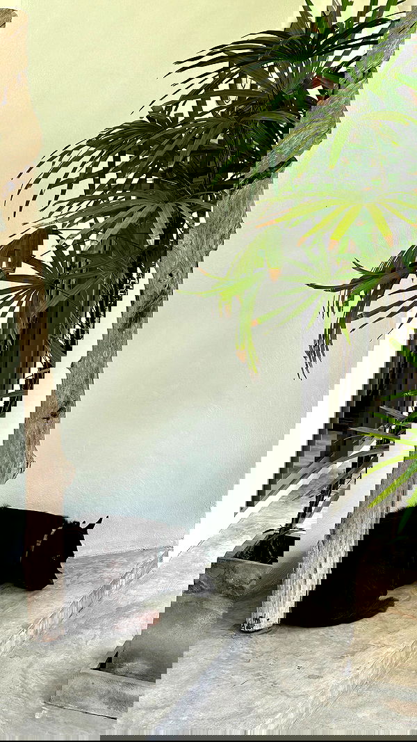 talweisswasser image ~ Altpins