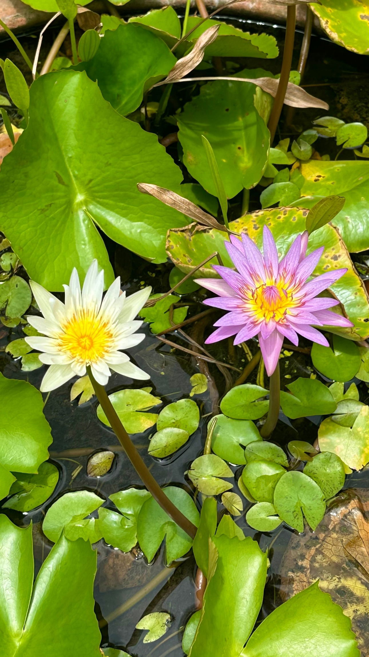 talweisswasser instagram image archive image