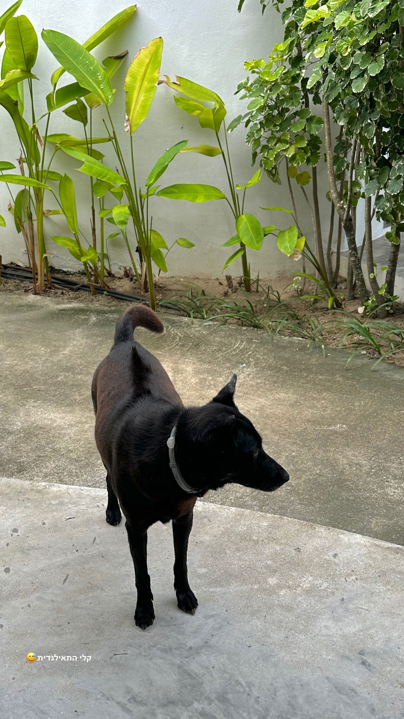 talweisswasser instagram image archive image