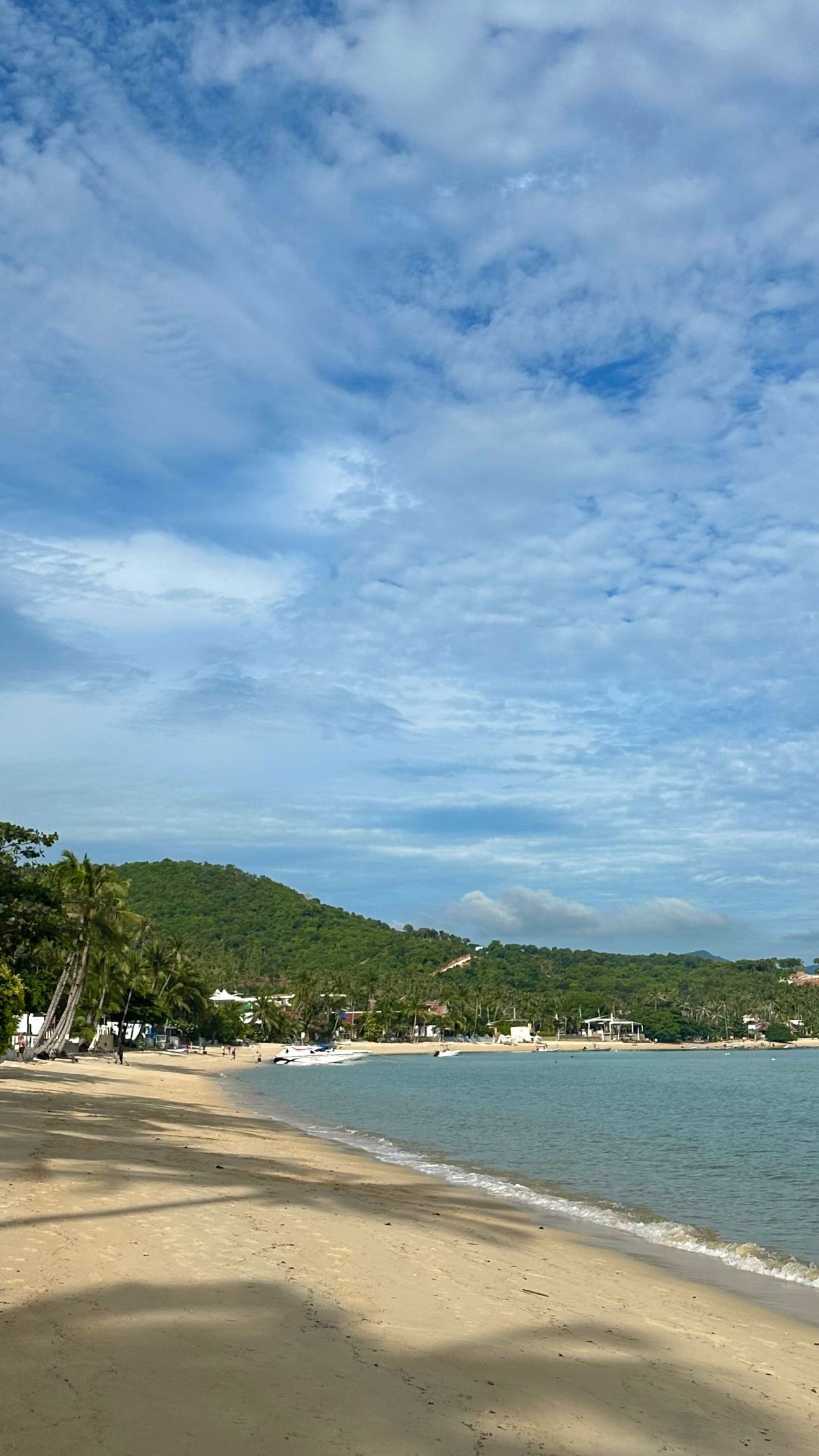 talweisswasser instagram image archive image