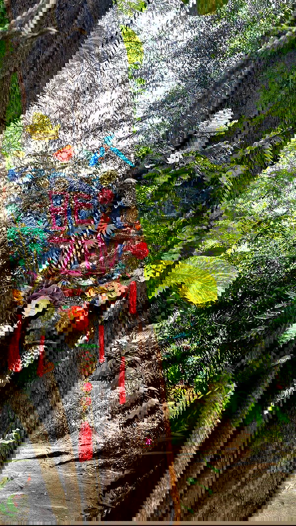 talweisswasser image ~ Altpins