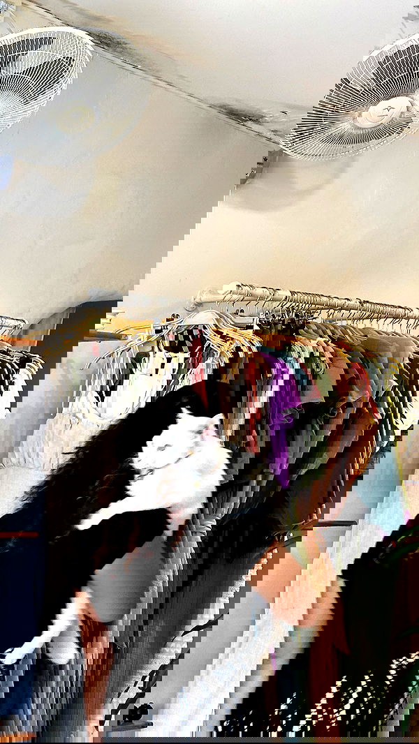 talweisswasser image ~ Altpins