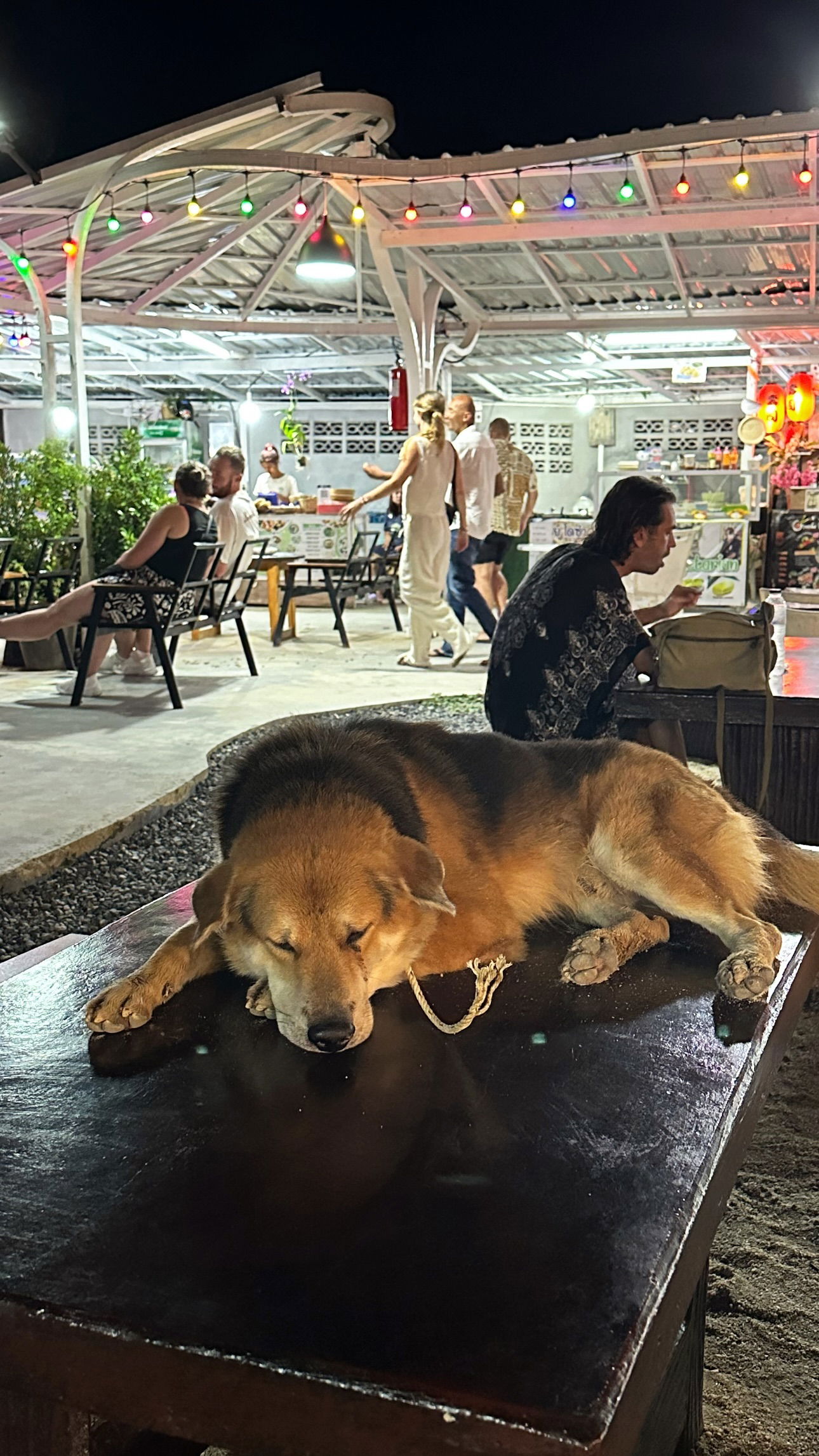 talweisswasser instagram image archive image