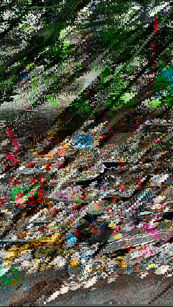 talweisswasser image ~ Altpins