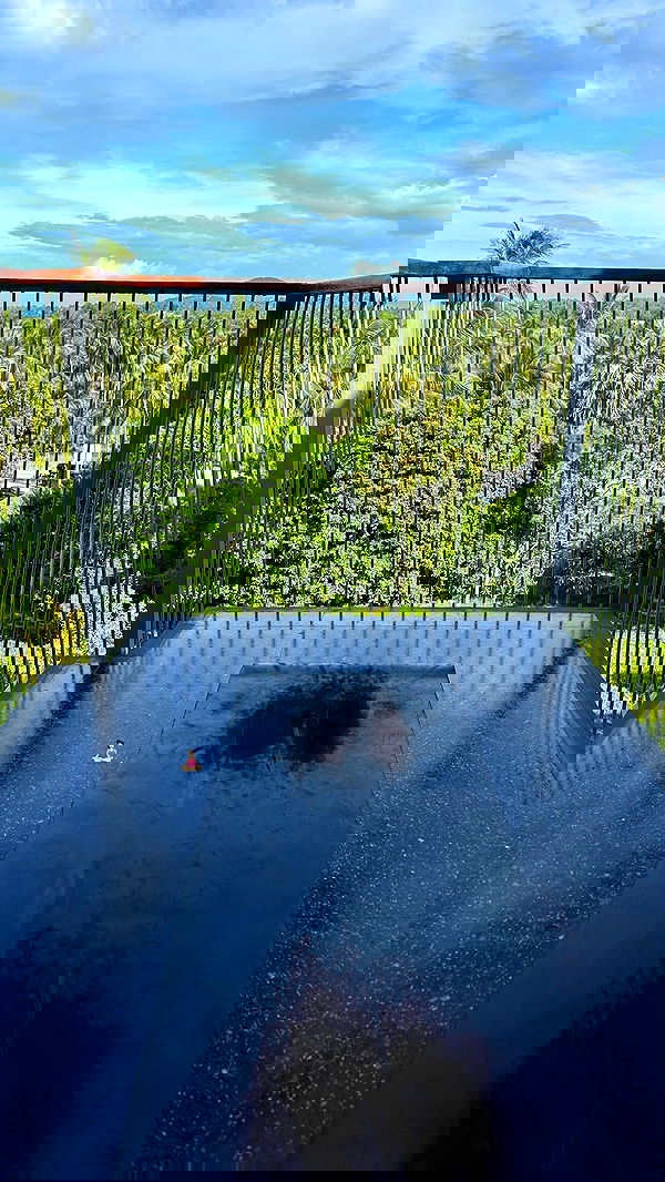 talweisswasser image ~ Altpins