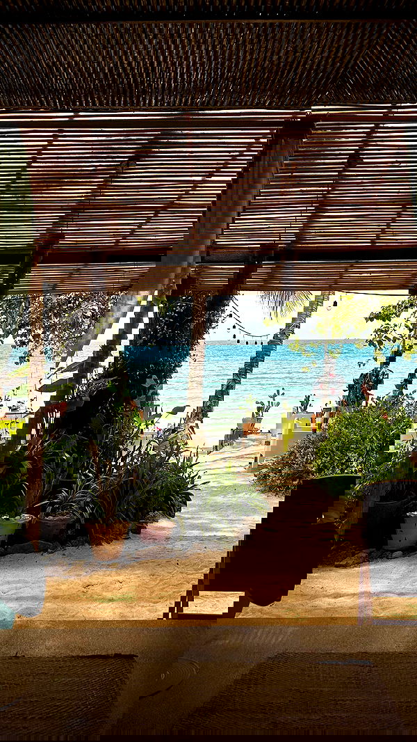 talweisswasser image ~ Altpins