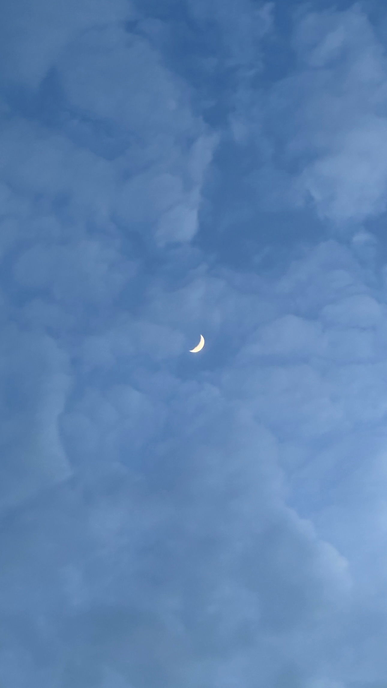 talweisswasser instagram image archive image