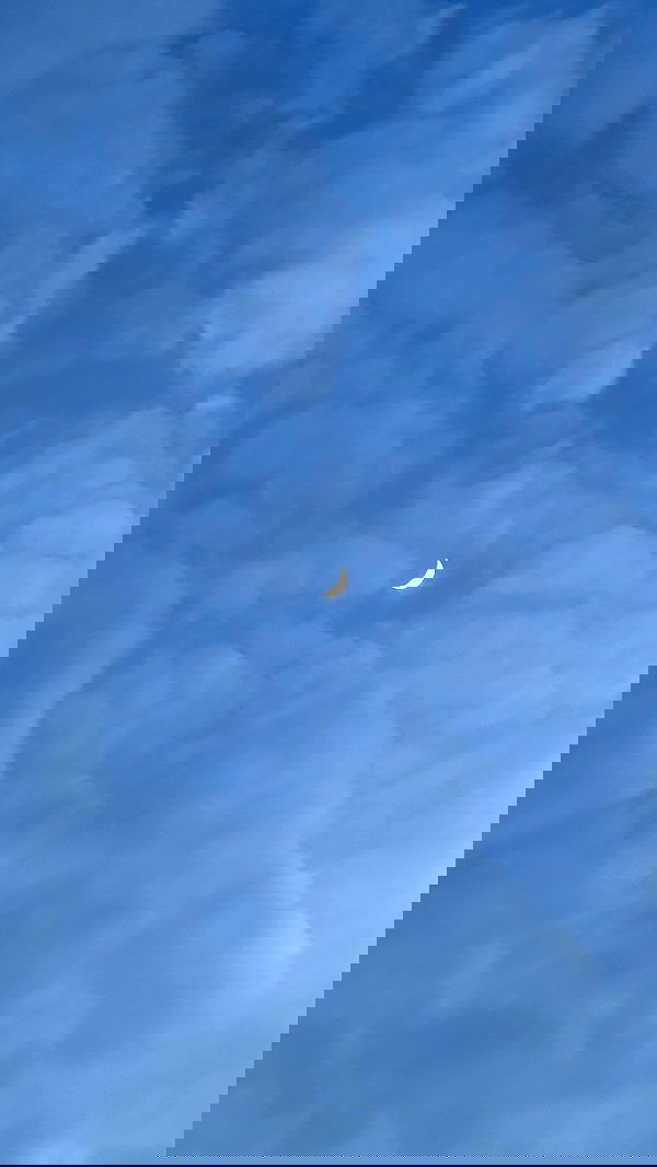 talweisswasser image ~ Altpins