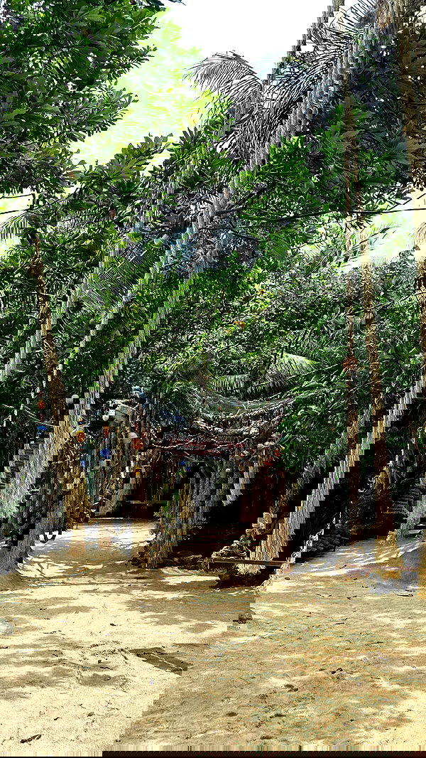 talweisswasser image ~ Altpins