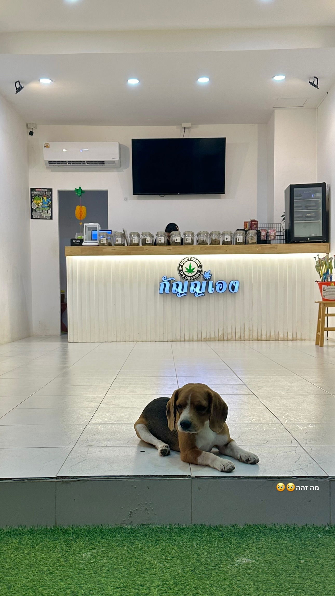 talweisswasser instagram image archive image