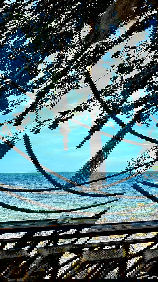 talweisswasser image ~ Altpins