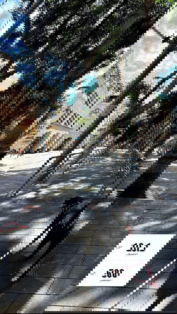 talweisswasser image ~ Altpins