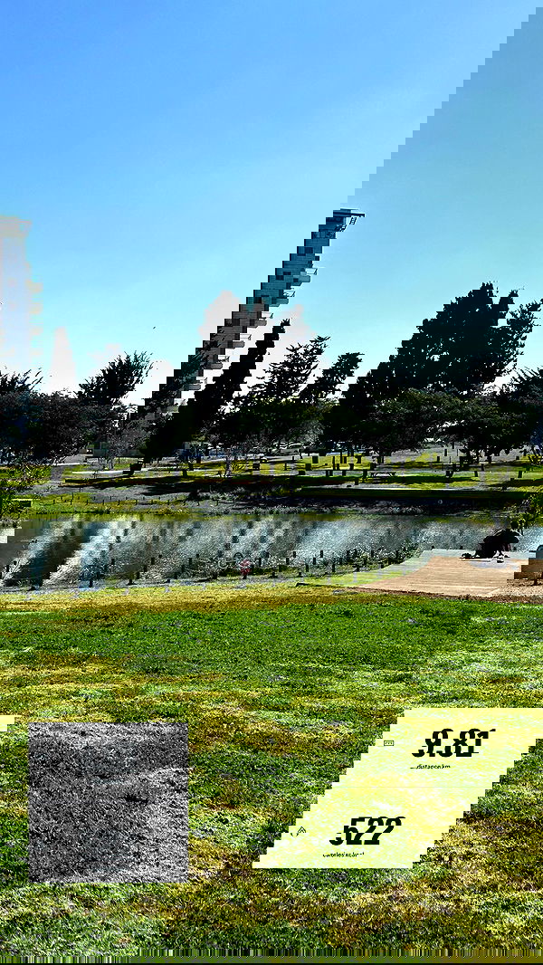 talweisswasser image ~ Altpins