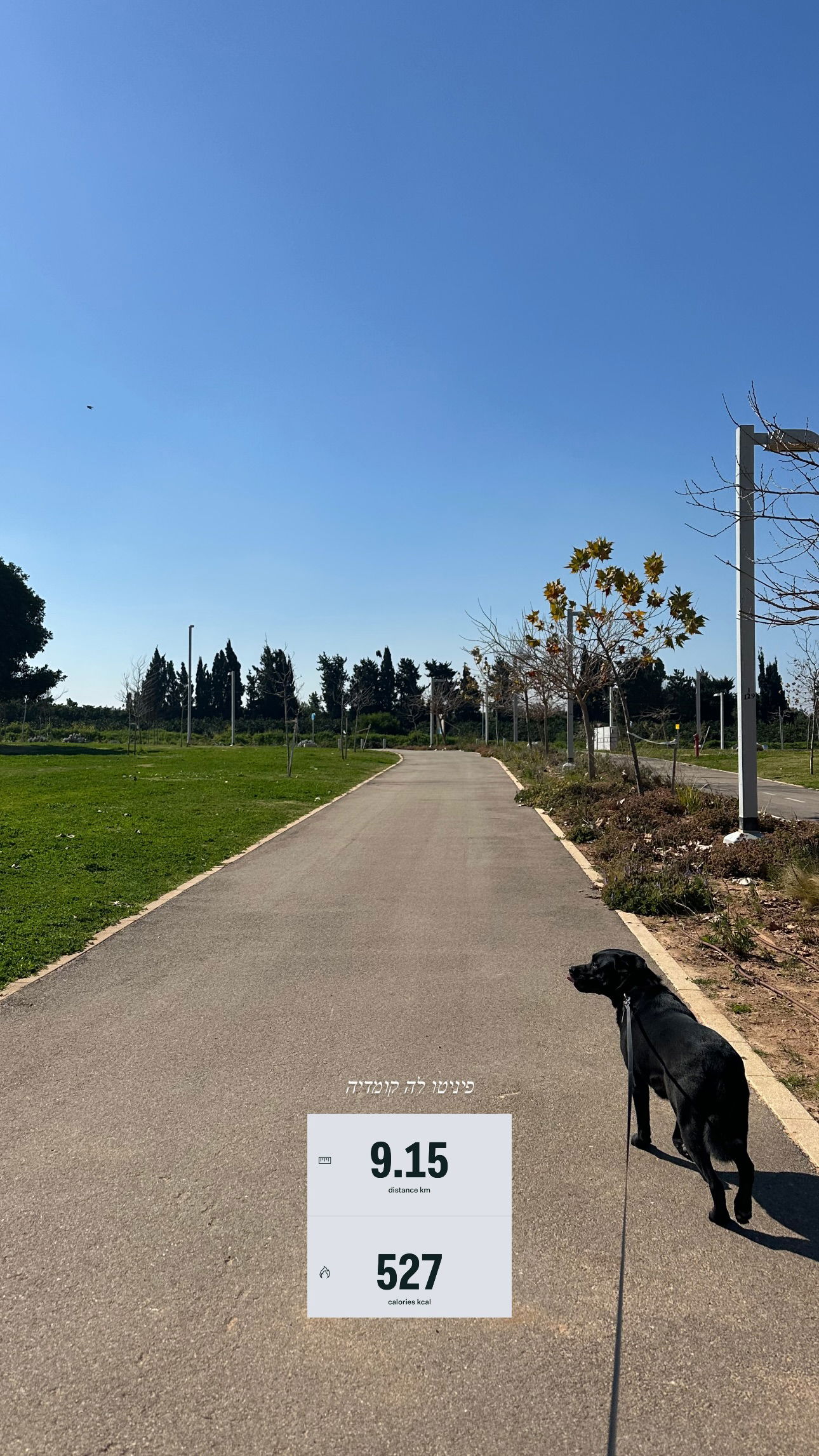 talweisswasser instagram image archive image