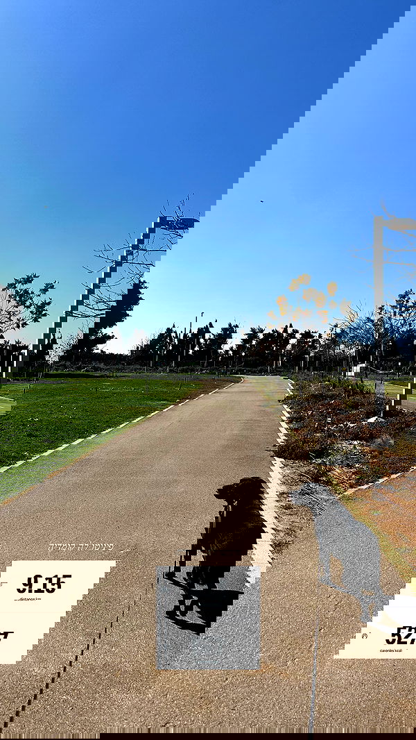 talweisswasser image ~ Altpins