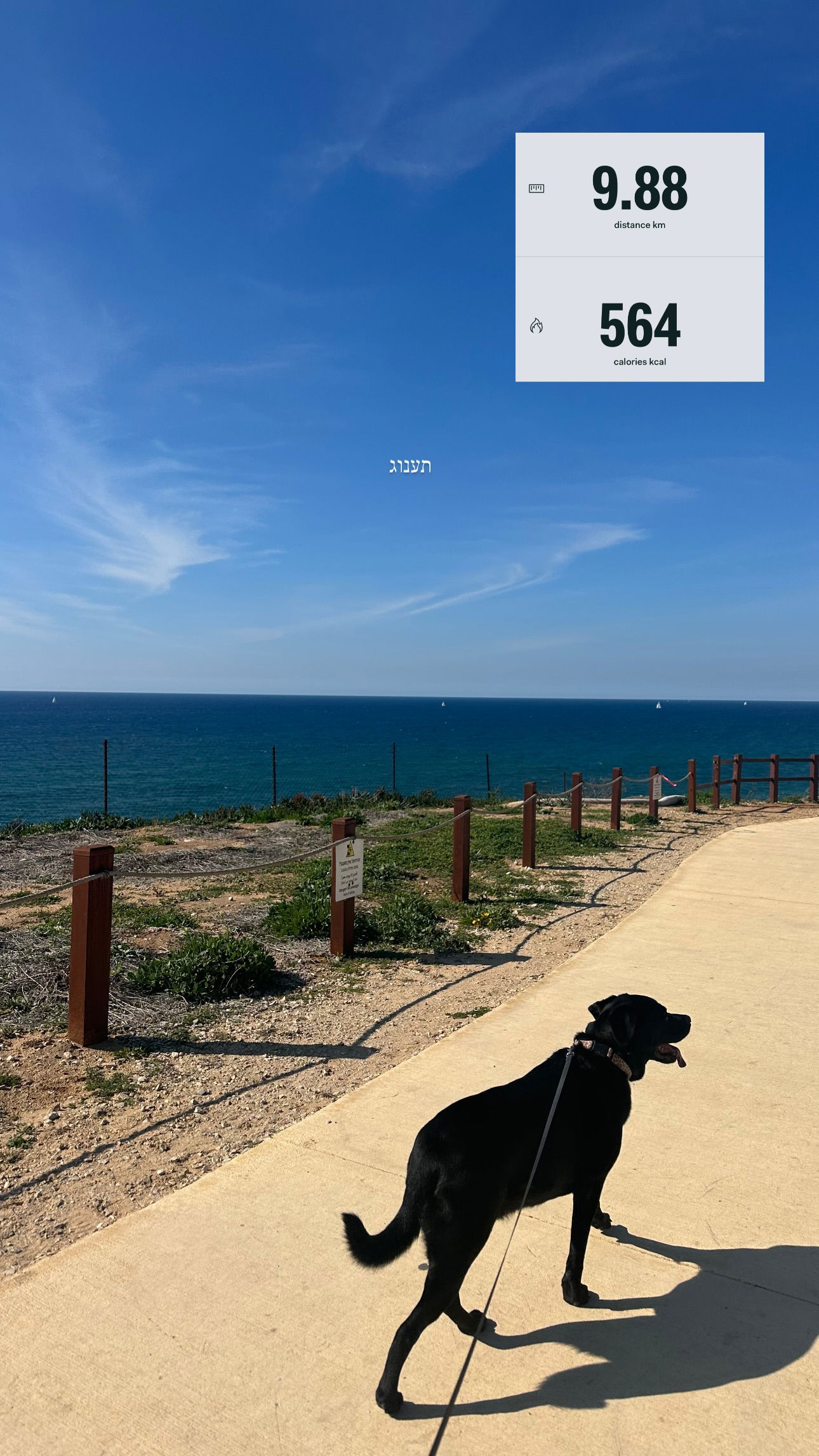 talweisswasser instagram image archive image