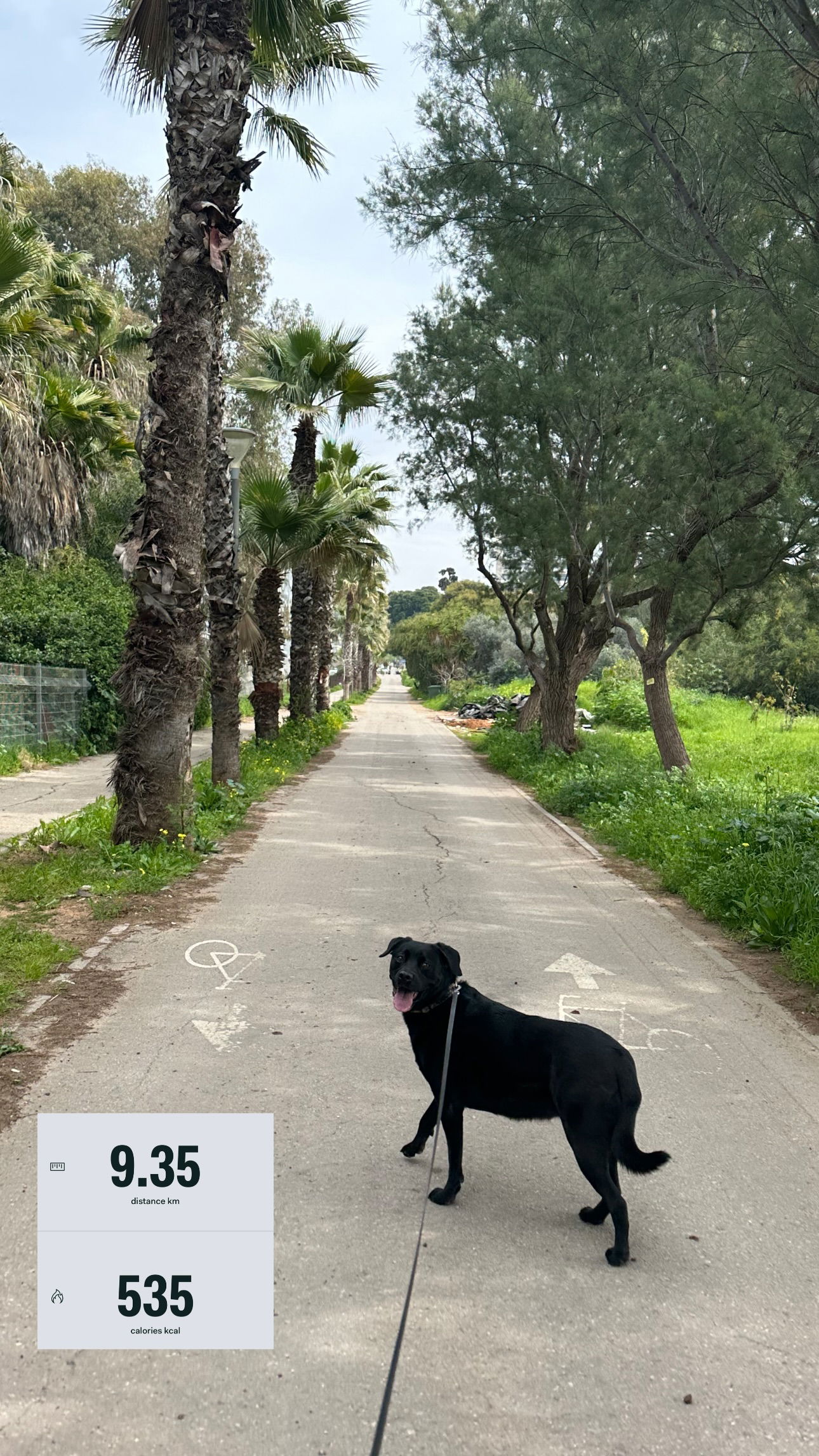 talweisswasser instagram image archive image