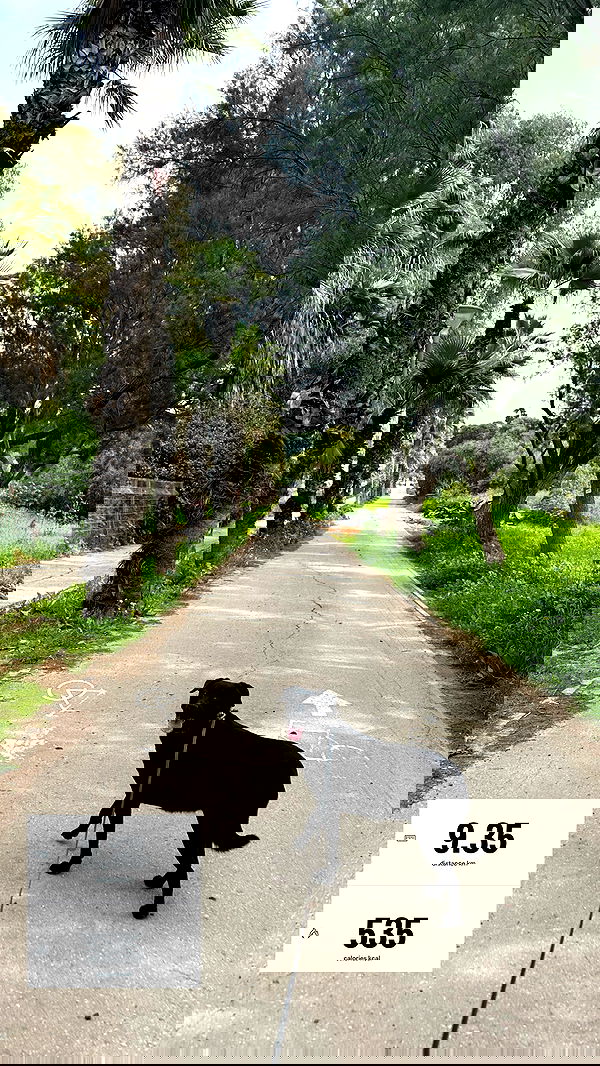 talweisswasser image ~ Altpins