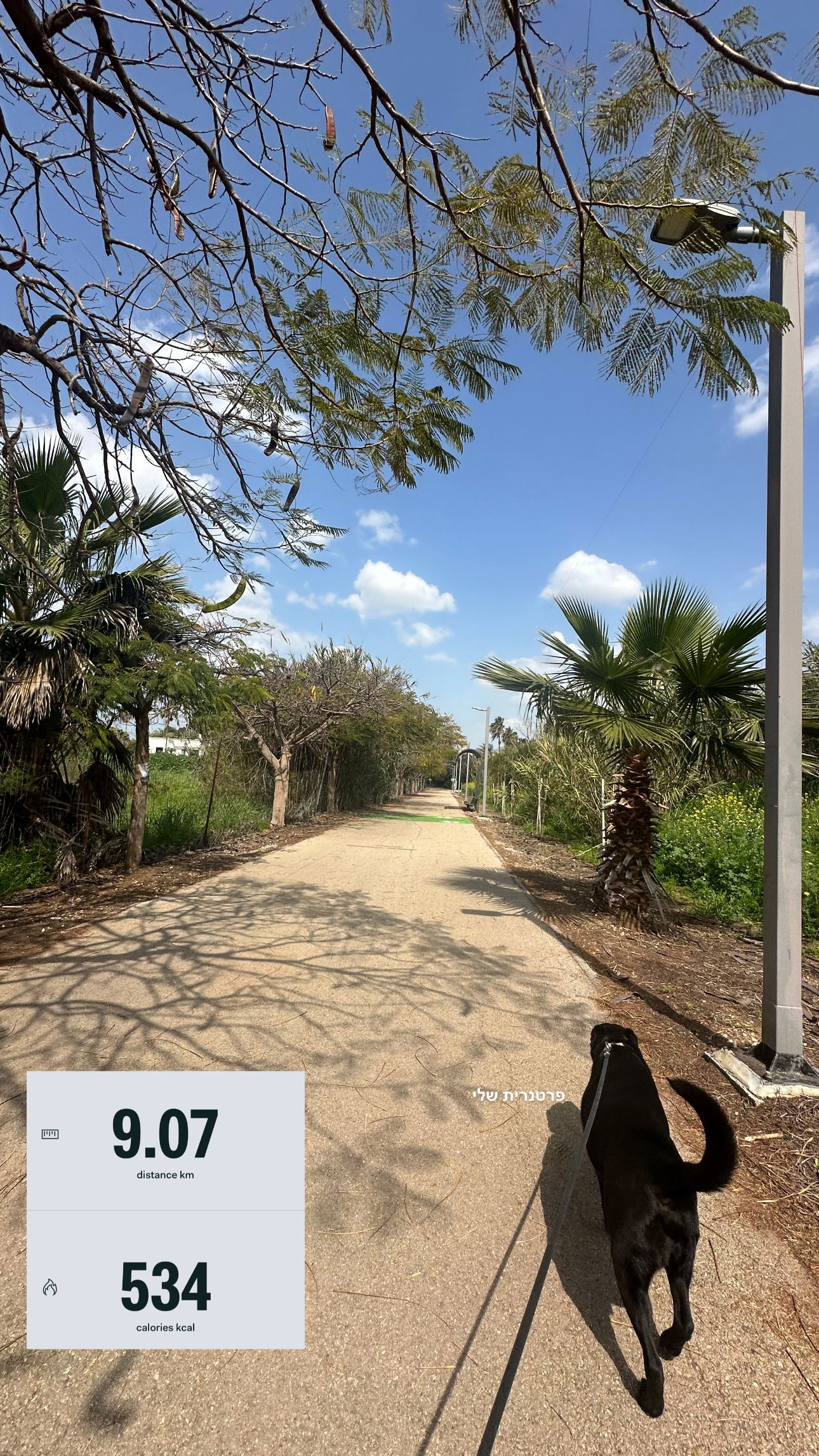 talweisswasser instagram image archive image