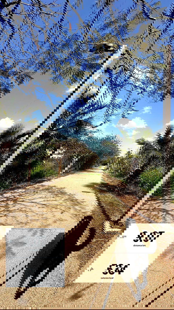 talweisswasser image ~ Altpins