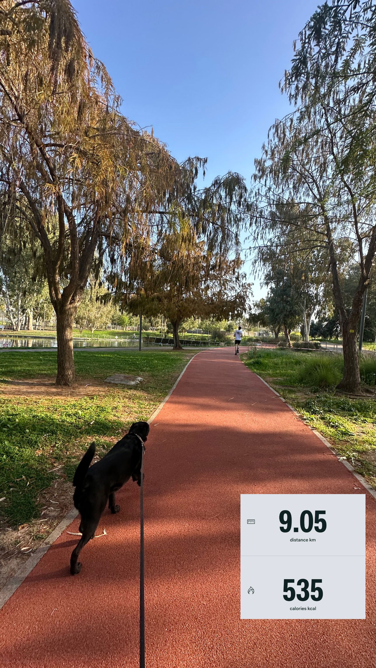 talweisswasser instagram image archive image