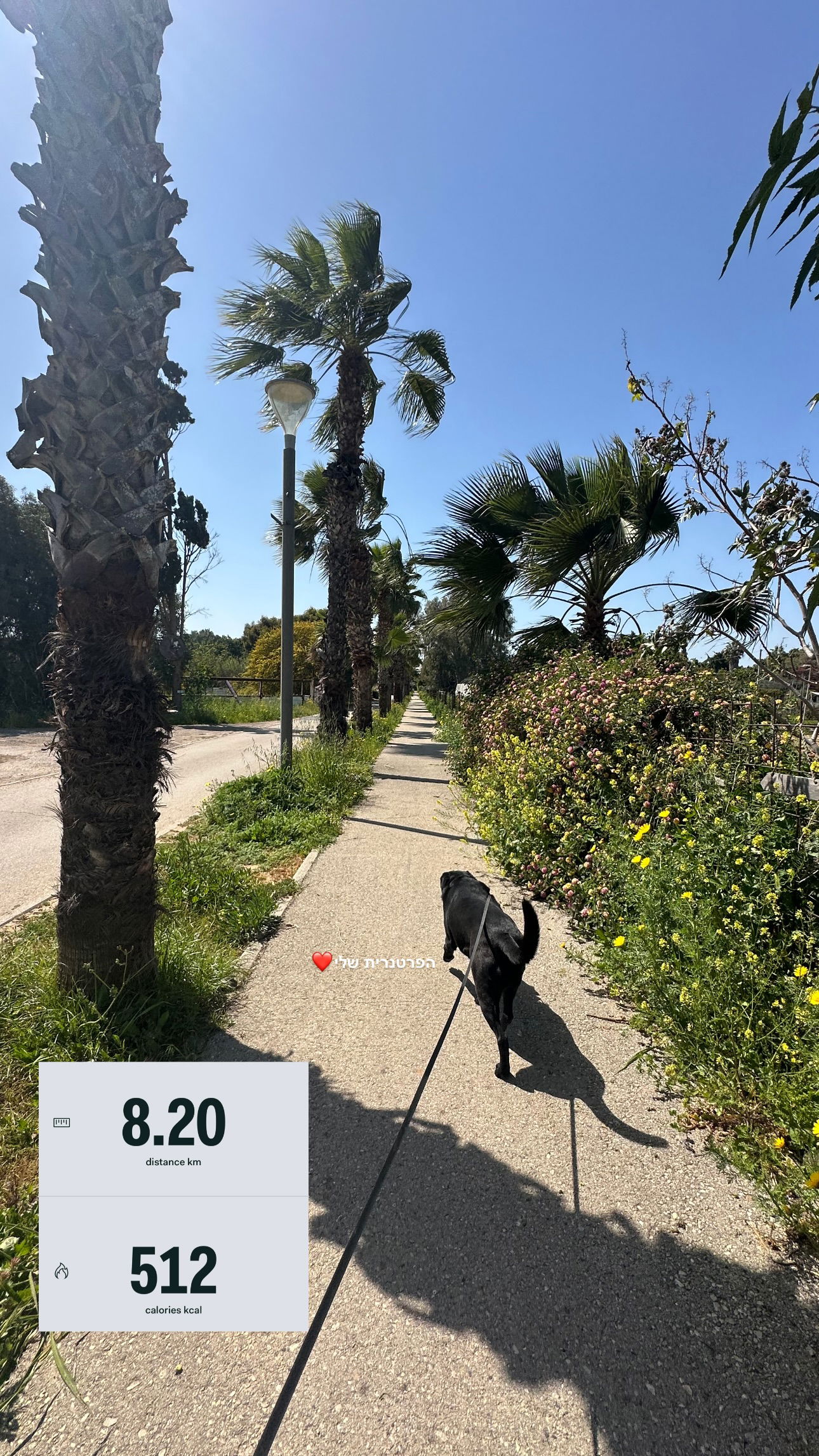 talweisswasser instagram image archive image